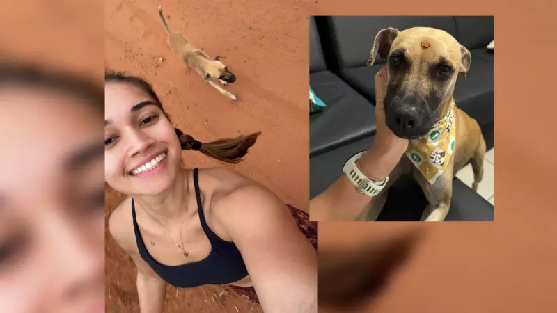 Cão de rua corre 15 km com casal em Araçatuba, vira sensação e ganha nome de 'Atleta'