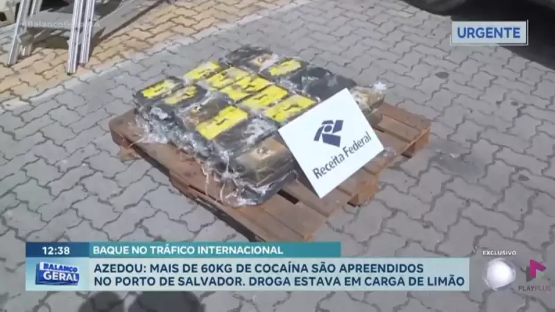 Carga de cocaína avaliada em milhões é apreendida no Porto de Salvador com destino à Inglaterra