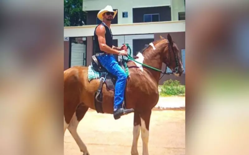 Cavalo e égua morrem após colisão com carro na BR-040 em Goiás: veja detalhes