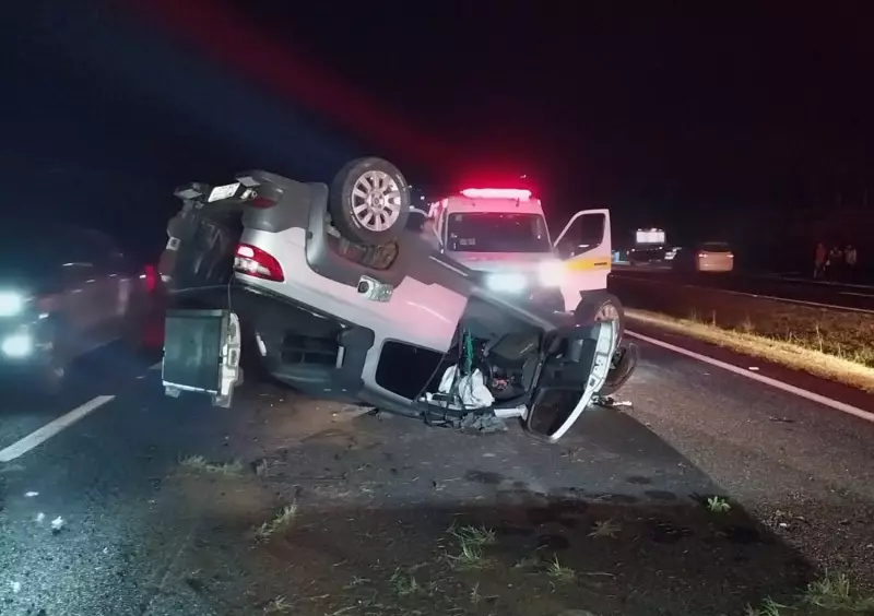 Cavalo solto em rodovia causa acidentes e morre próximo a Franca, SP