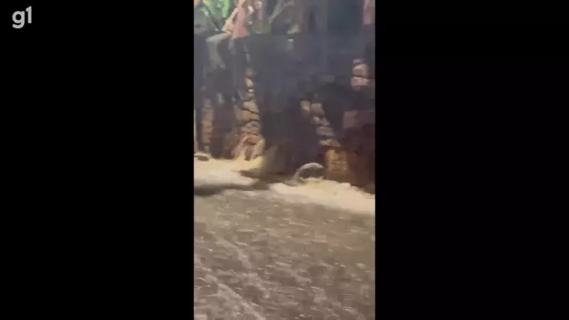 Chuva intensa causa alagamentos e transtornos em Triunfo, no Sertão de Pernambuco