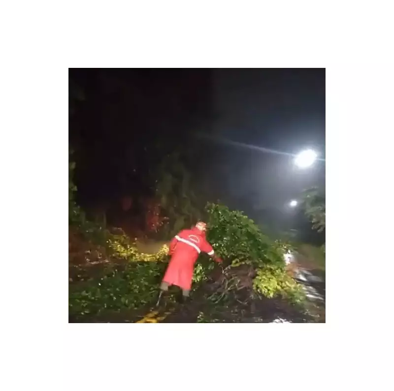 Chuvas intensas causam caos em João Pessoa: árvores caídas, alagamentos e desabamentos