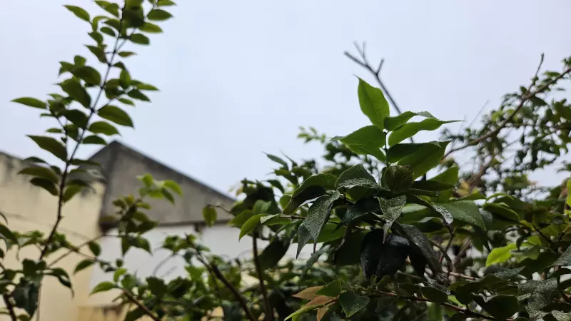 Chuvisco surpreende moradores do DF neste sábado; veja vídeo e previsão