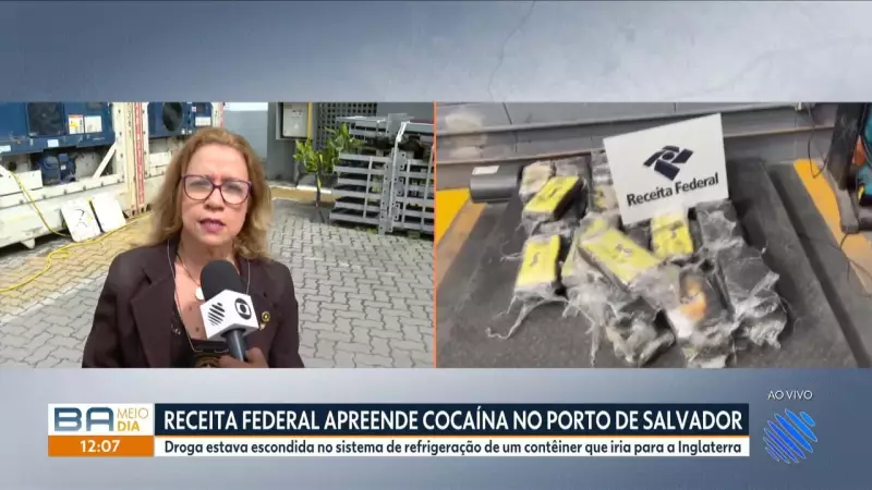 Cocaína escondida em limões é apreendida no Porto de Salvador: veja detalhes