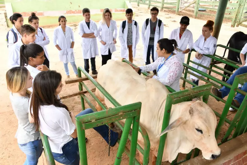Como Escolher o Curso Perfeito na PUC Goiás: Dicas para Acertar na Decisão