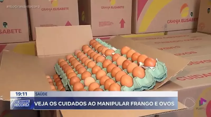 Como preparar frango e ovos de forma segura e evitar contaminações
