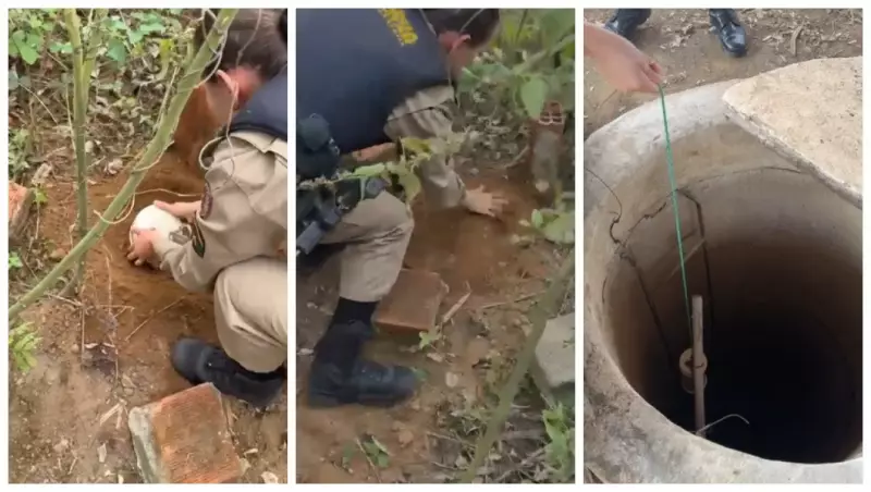 Drogas enterradas são descobertas em diversos pontos de terreno em Guanhães, MG