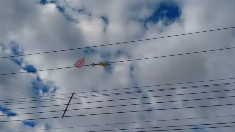 Equatorial Maranhão alerta: jogar objetos na rede elétrica é perigoso e pode causar acidentes graves