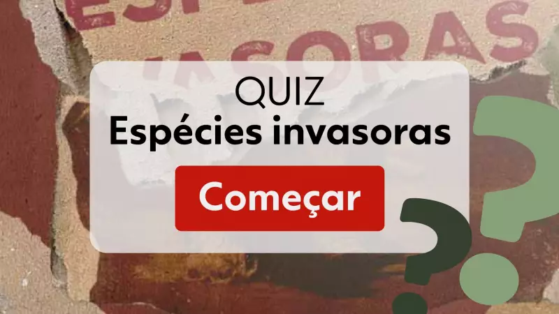 Espécies invasoras avançam pelo Brasil: descubra quais ameaçam nossos biomas