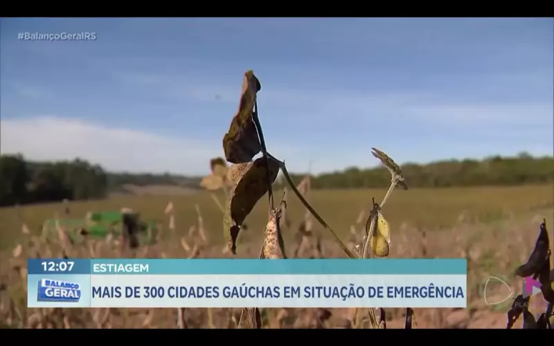 Estiagem no RS: mais de 300 cidades em emergência e impactos na população