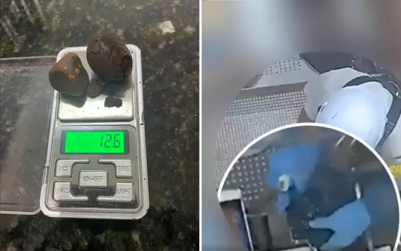 Funcionários de frigorífico são presos por furto de pedra de fel em Goiás: veja o vídeo