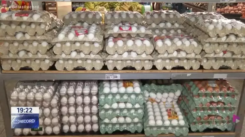 Gripe Aviária em Goiás: Consumo de Frango e Ovos Segue Firme, dizem Especialistas