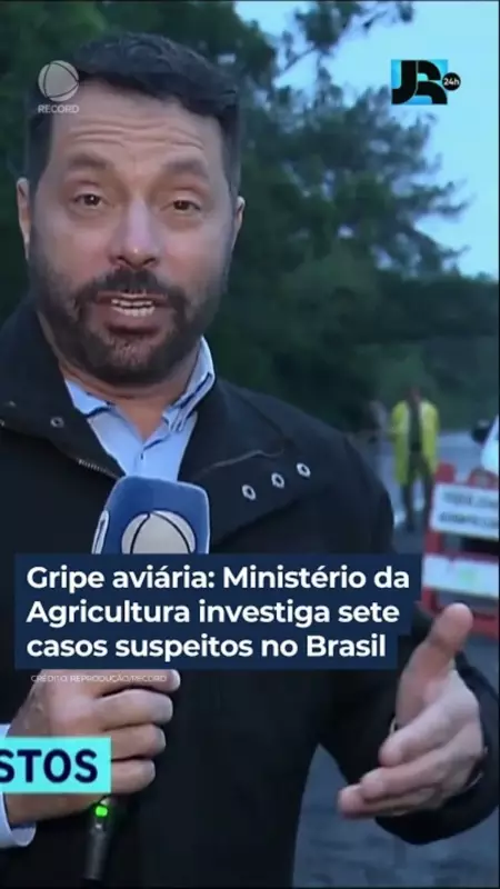 Gripe Aviária no Brasil: Ministério da Agricultura investiga 7 casos suspeitos