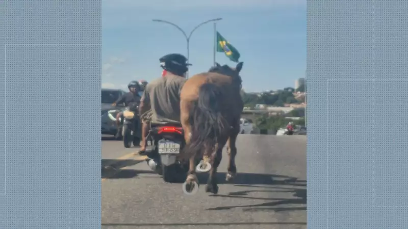 Homem é flagrado puxando cavalo em viaduto de Nova Iguaçu: veja o vídeo chocante