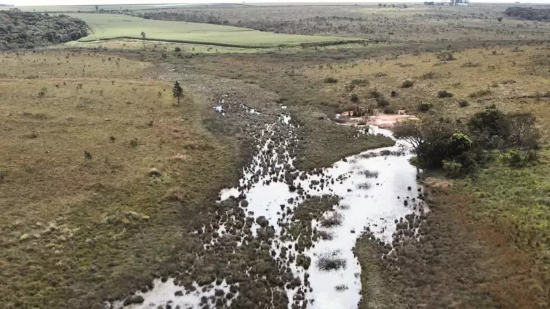 Ibama embarga 500 hectares e aplica R$ 4,5 milhões em multas a fazendeiros em Uberlândia e Uberaba