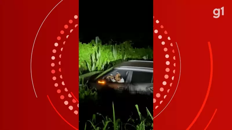 Idoso atropela três pessoas e uma morre em acidente trágico em São Mateus, MA