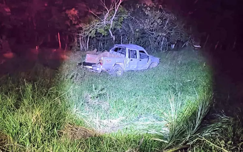 Idoso morre após capotar caminhonete e ser atacado por abelhas em MG: tragédia no trânsito
