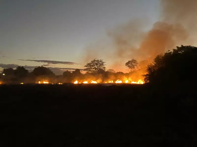 Incêndio ameaça residências em Januária: saiba como agir em emergências ambientais