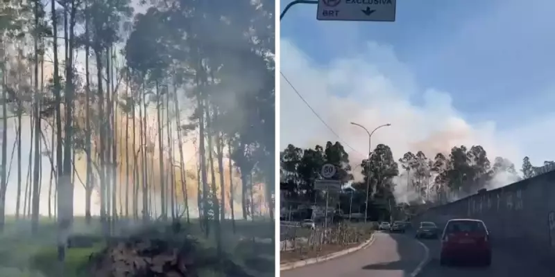 Incêndios florestais ameaçam áreas verdes em Campinas: saiba o que aconteceu