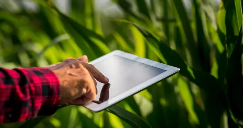 Inovação no Agro Catarinense: Como a Tecnologia Impulsiona a Economia e o Crescimento Sustentável