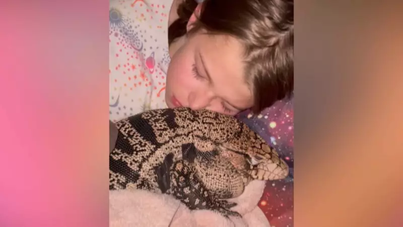 Lagarto de estimação vira xodó da família e recebe carinho nos EUA — veja o vídeo fofo!
