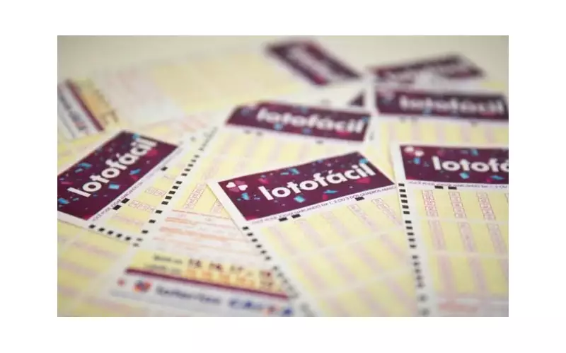 Lotofácil: Confira os números sorteados no concurso 3393 e veja se ganhou!