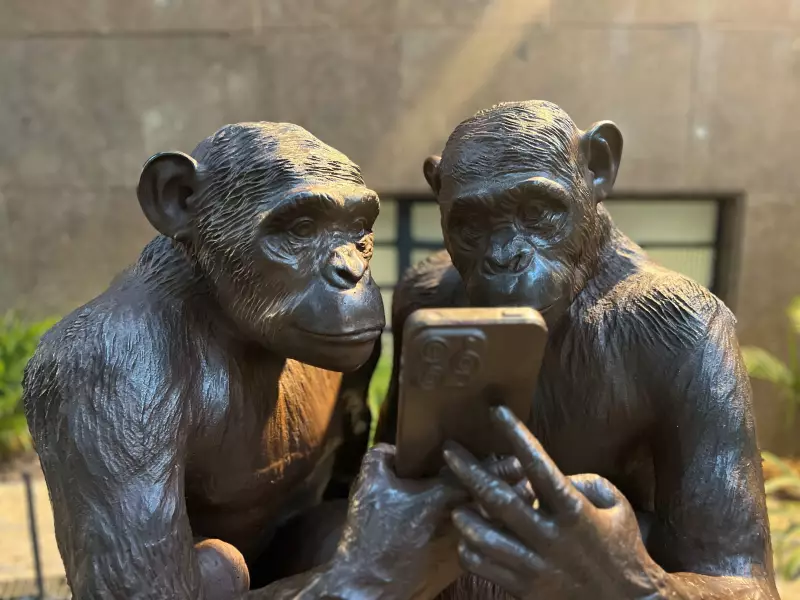 Macacos hiperconectados invadem as ruas do Rio: veja onde encontrar as obras digitais