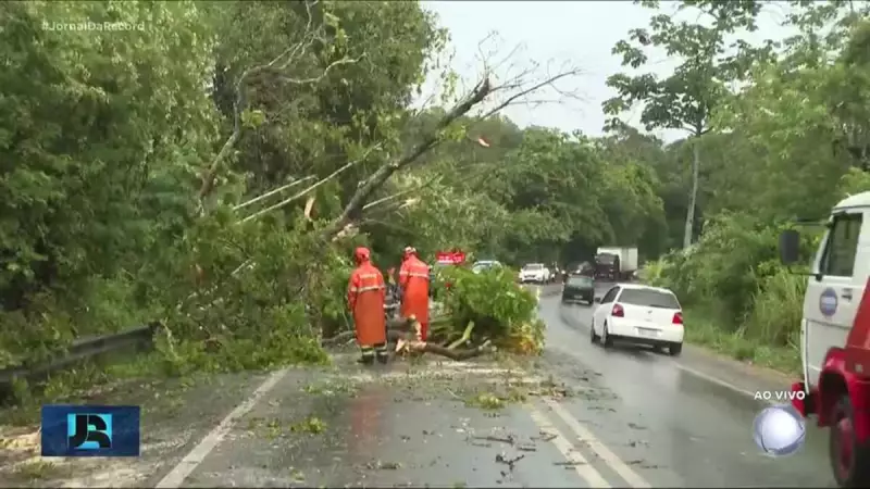 Maceió é atingida por chuvas intensas: volume supera previsão mensal em apenas quatro dias