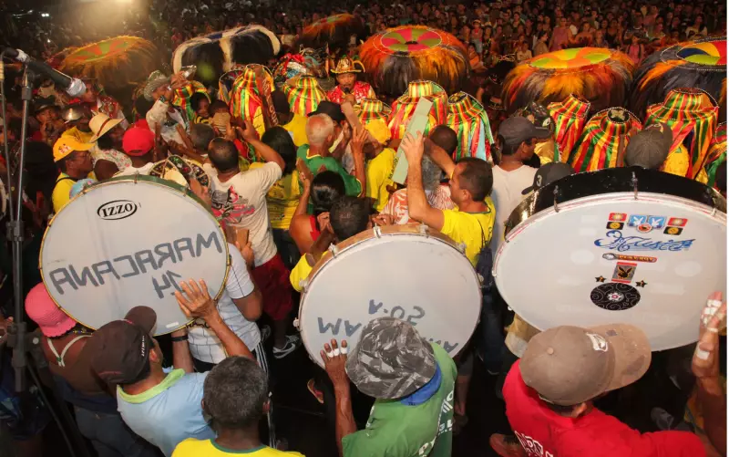 Maranhão celebra tradição: Boi de Maracanã e Cacuriá Balaio de Rosas encantam São Luís