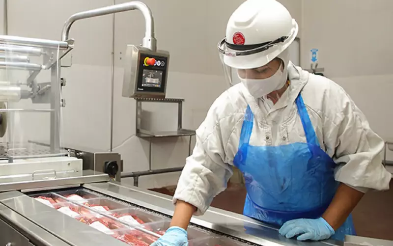Marfrig e BRF anunciam fusão: como a união das gigantes pode impactar o mercado de carnes no Brasil e no mundo
