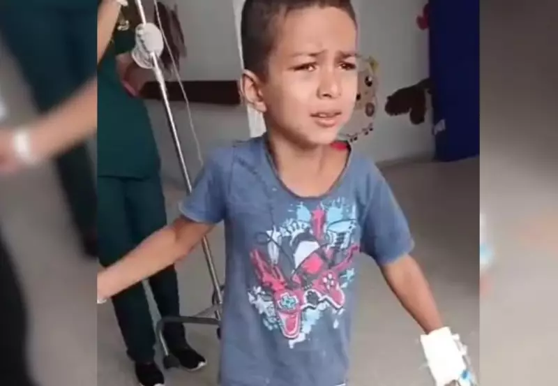 Menino de 6 anos sobrevive a picada de jararaca após 11 dias internado: 'Verdadeiro milagre', diz mãe