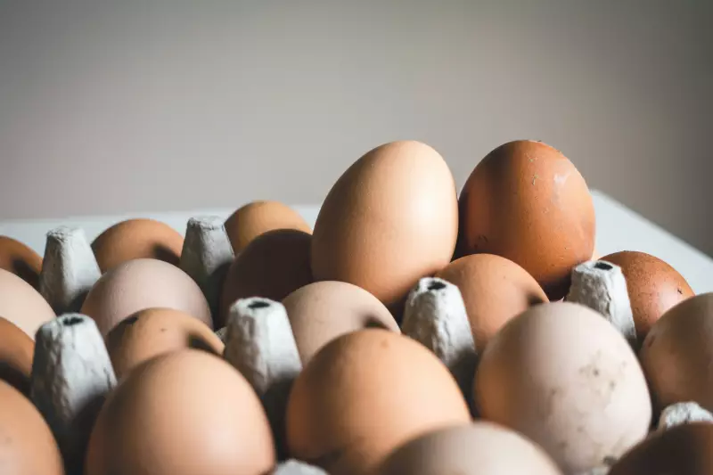 Minas Gerais descarta 450 toneladas de ovos para conter avanço da gripe aviária