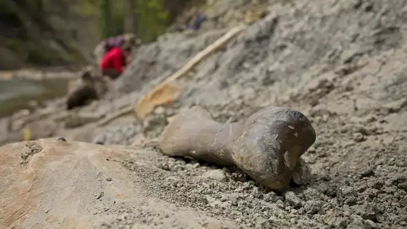 Mistério no Deserto: Vala Comum de Dinossauros com Milhares de Fósseis Intriga Cientistas