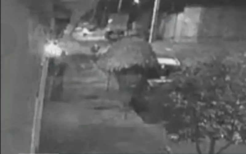 Motorista embriagado atropela e mata entregador de app em Goiânia: veja o vídeo chocante