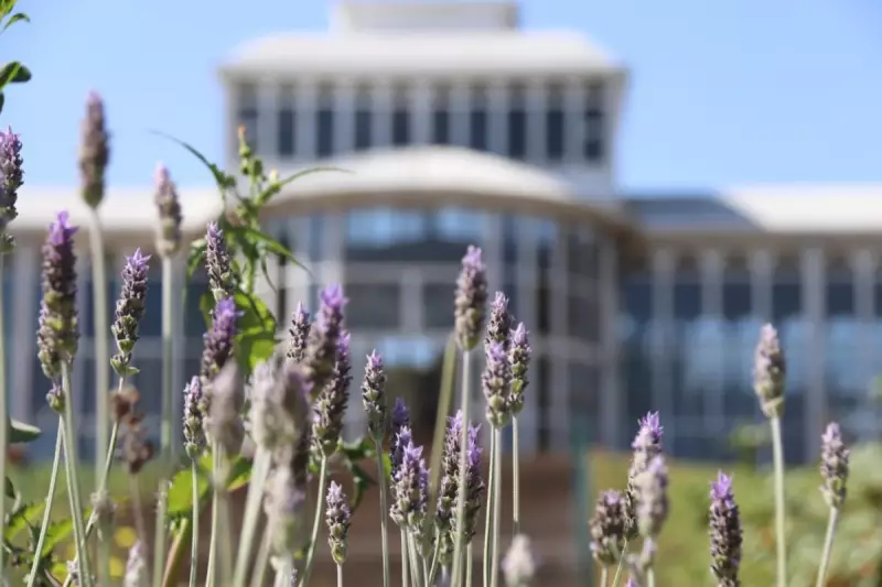 Oficina gratuita de arranjos florais encanta moradores no Jardim Botânico de Sorocaba