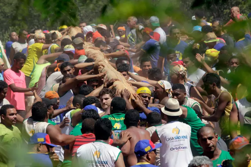 Pau da Bandeira de Barbalha: Conheça a história por trás da tradição da Festa de Santo Antônio