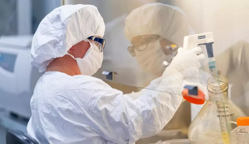 Pfizer fecha acordo bilionário com chinesa 3SBio para desenvolver remédio contra câncer