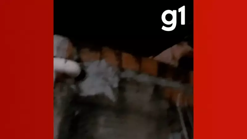 Pitbull foge de casa e é resgatado após subir em telhado de vizinho em MT; veja o vídeo!