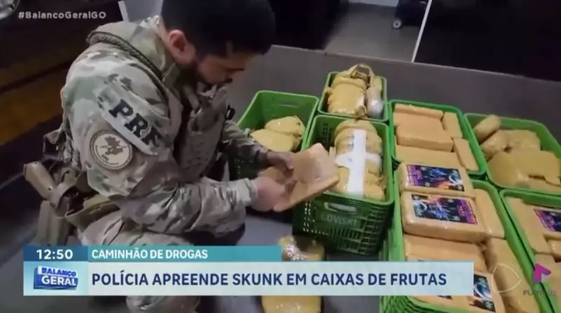 Polícia apreende 105 kg de maconha escondidos em caixas de frutas em GO