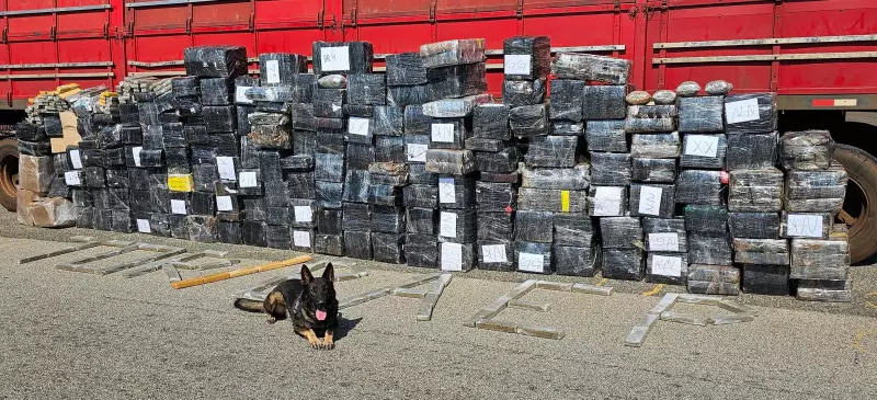 Polícia Rodoviária apreende uma tonelada de maconha escondida em carga de arroz em Porto Feliz