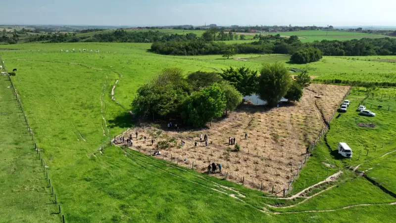 Projeto Saltinho Mais Verde: Educação ambiental como ferramenta para recuperar nascentes em SP