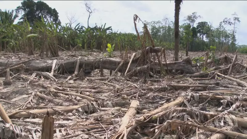 Rio Madeira seca e revela destruição em comunidades ribeirinhas de Rondônia