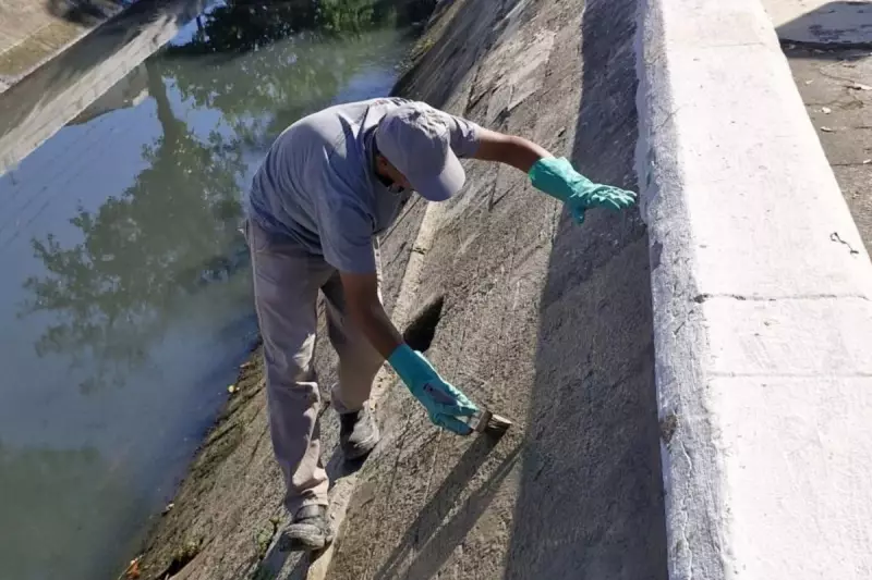 Santos (SP) inicia projeto ambicioso para revitalizar e modernizar canais urbanos