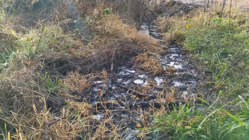 Secretaria do Meio Ambiente investiga descarte irregular de óleo em Bauru