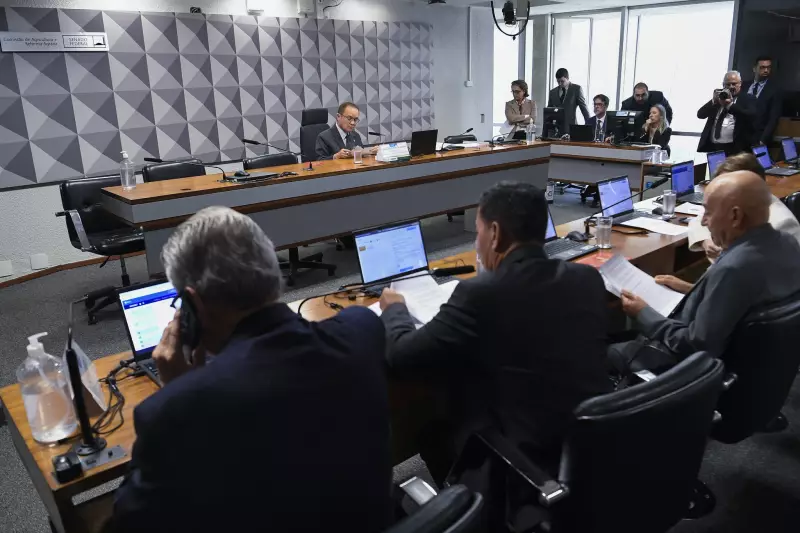 Senado avança com novas regras para licenciamento ambiental: entidades criticam mudanças