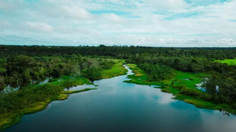 Senado vota hoje a Lei Geral do Licenciamento Ambiental: entenda os principais pontos