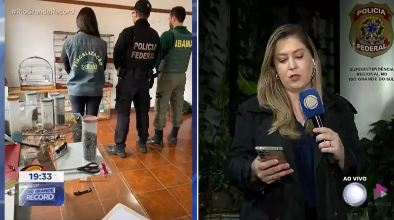 Servidor do Ibama é investigado por crimes ambientais no Rio Grande do Sul: entenda o caso