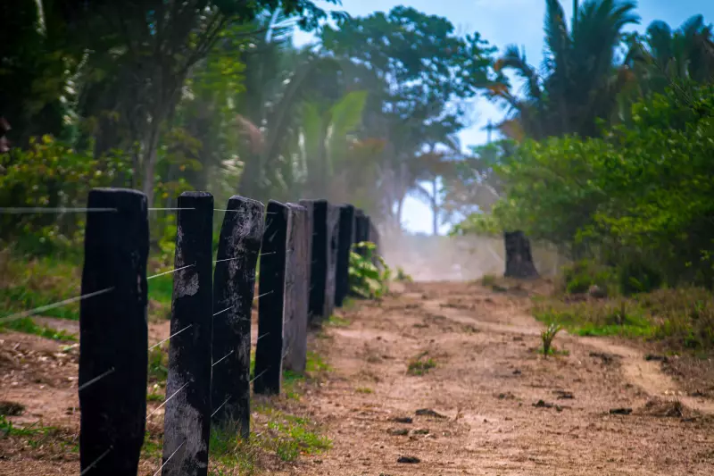 STF é acionado contra lei de Rondônia que perdoa multas ambientais e legaliza ocupações em unidades de conservação