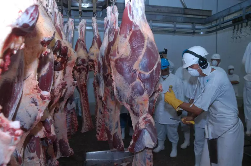 Tocantins dispara nas exportações: crescimento de 465% no primeiro trimestre e China lidera parcerias
