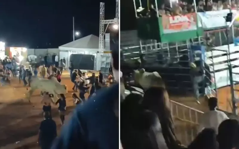 Touro foge de rodeio e causa pânico ao perseguir público em Goiás; veja o vídeo